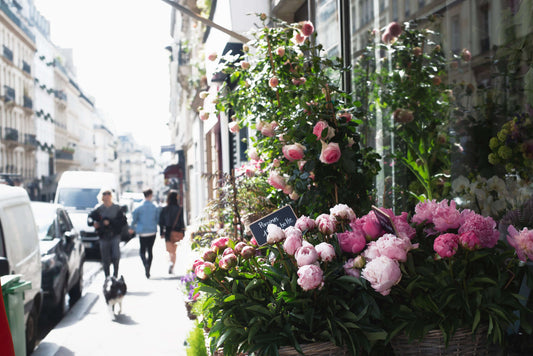 Our Love for Garden Roses & Peonies