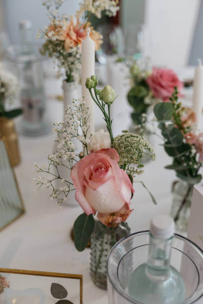 SOFT + PRETTY BUD VASES