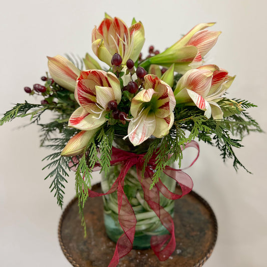 FRESH CUT AMARYLLIS ARRANGEMENT