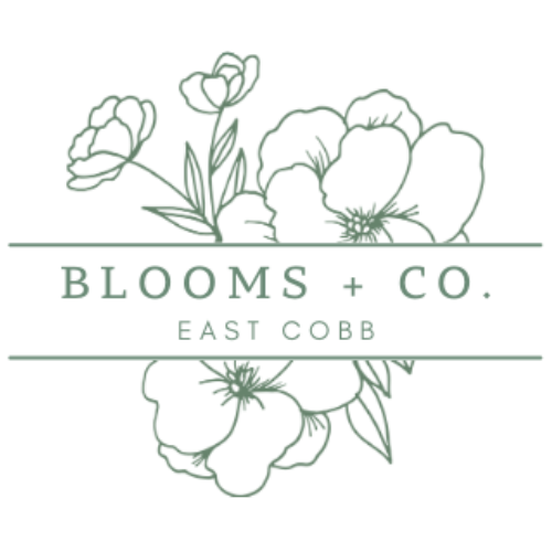 Blooms + Co.
