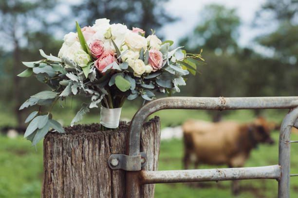 SOFT + PRETTY BRIDAL BOUQUET